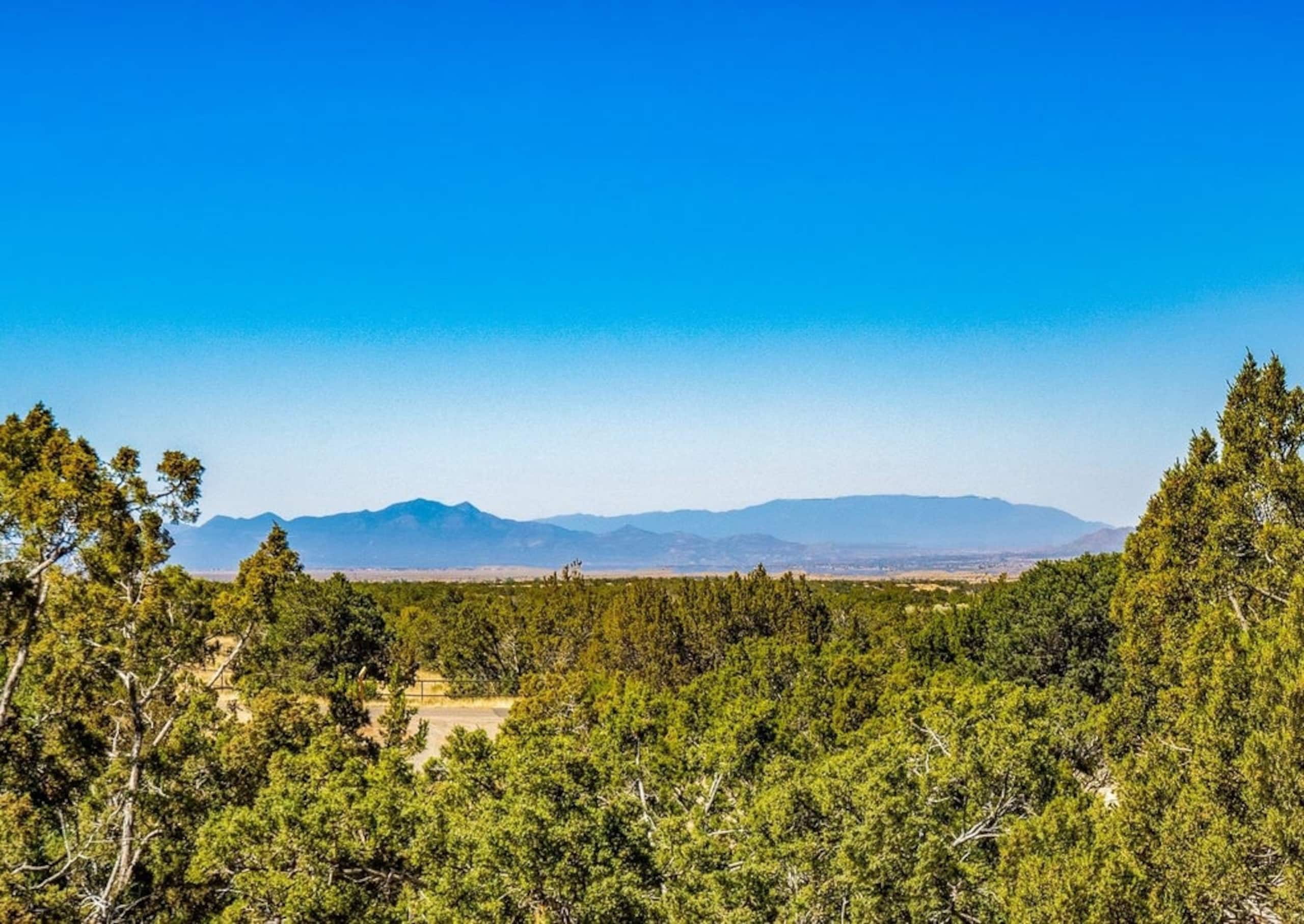 Sangre de Cristo mountains over a sea of junipers