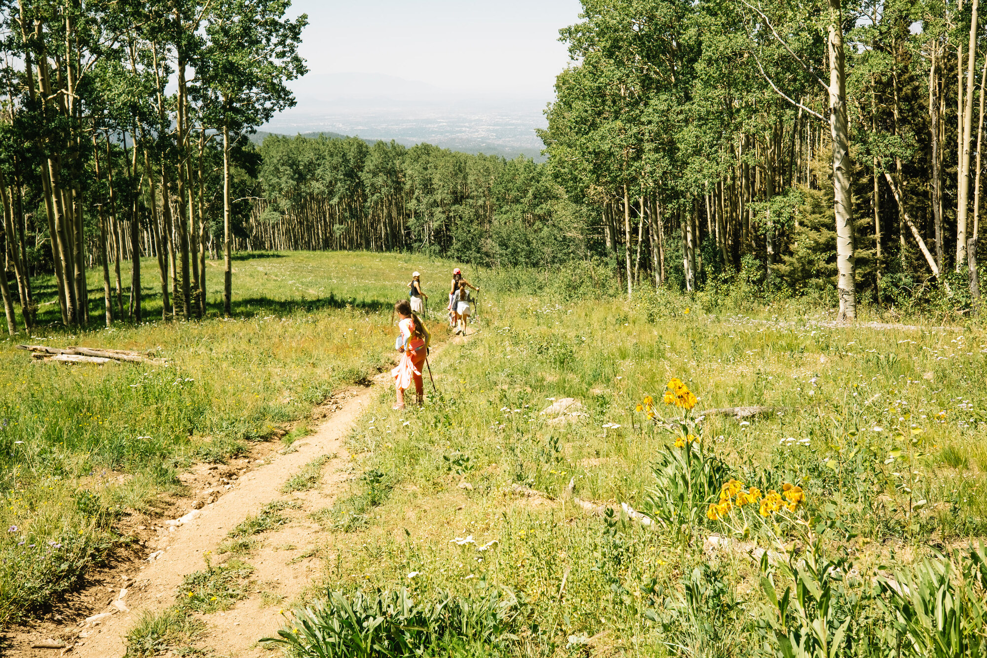 Family walking a wildflower meadow trail in the Sangre de Cristos